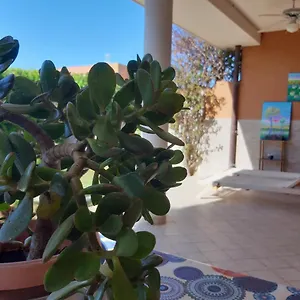 Alice Casa vacanze